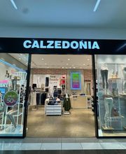 Calzedonia immagine 1