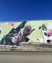 IMG_8638.jpeg