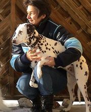 Hundeschule Guggisberg Bild 3