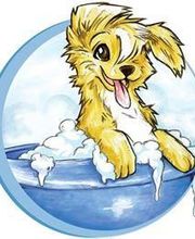 Com Chien Et Chat image 3