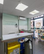 Clinique Vétérinaire Mon Véto Igoville image 5