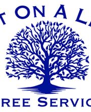 OUT ON A LIMB TREE SERVICE image 2