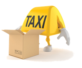 Taxi Bourgin image 1