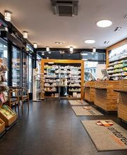 HAMBURG APOTHEKE Struenseehaus Bild 3