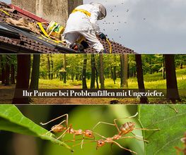 Schädlingsbekämpfung und Desinfektion Gisbert Gürtler Bild 1