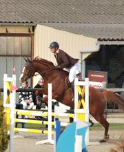 Ecuries Lalye GUILLAUMEE CHANTAL image 12