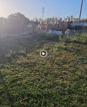 La Huella Azul S.L. imagen 8