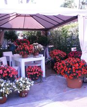 garden-arenas-plantas-04.jpg