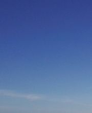 ADmanagementGroup immagine 4