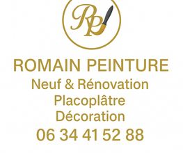 Romain Peinture image 5