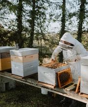 Les Vergers de Pialard image 5