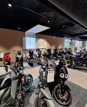 Yamaha Dijon image 1
