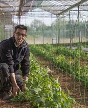 Les Paniers De José image 1