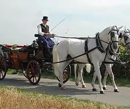 Köchli Heinrich Bild 1
