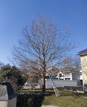 ANGELOZ Jardinier-Paysagiste Bild 8