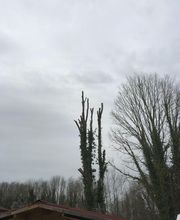 Wintrestin image 10