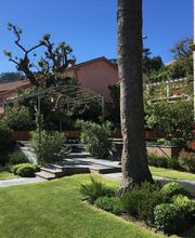 Exo Jardins SARL image 2