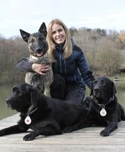 Hundeschule Südwest Bild 2