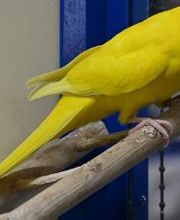 DAS FUTTERHAUS - Bremen-Weserpark Bild 5
