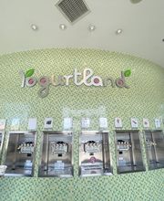 Yogurtland Reseda image 3