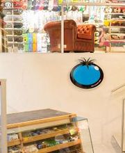 Blue Tomato Shop Freiburg Bild 4