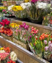 Blumen