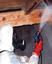 Bio Pest Services B.P.S. image 5