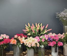 Blumen Hertweck Bild 5