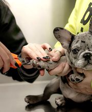 Wewoka Animal Hospital image 15