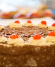 Abderhalden Kurt Bild 7