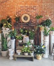 Lucilles Floral Designs image 10