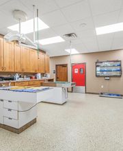 State Road Animal Hospital image 9