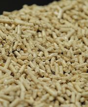 Blumer Lehmann Bild 5