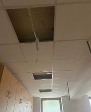 Putz Shalaj Freiburg Bild 8