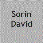 Sorin David