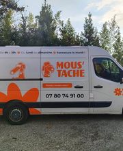 MOUSTACHE Toilettage image 3