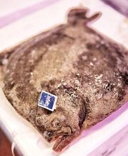 Julio Pérez SL imagen 7