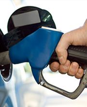 Lopez et Fils image 1