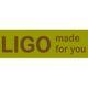 LIGO made for you