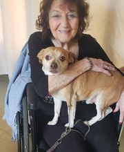 Arbor Trail Rehab and Skilled Nursing Center image 10