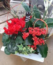 Jardinerie du Bois-Paris image 4