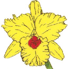 Logo der Apotheke Auf der Horst