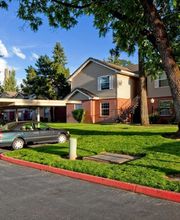 Murray Woods Apartments image 18