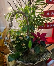 Envolée Florale image 8