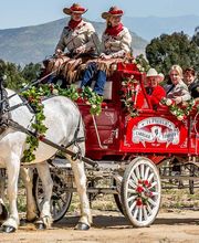 TEMECULA CARRIAGE COMPANY image 4