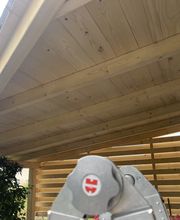 IMG_3566.jpeg