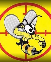 NGF Normandie Guêpes Frelons image 1