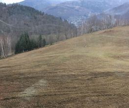 Gully Bastien image 2