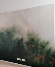 Bau & Ausbauservice Bach Bild 7