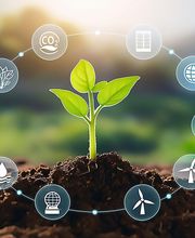 Serqual consultoría imagen 8